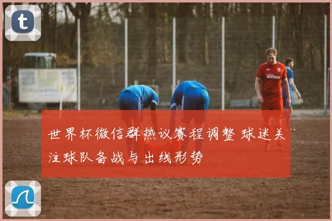世界杯微信群热议赛程调整 球迷关注球队备战与出线形势