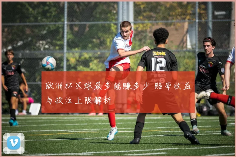 欧洲杯买球最多能赚多少 赔率收益与投注上限解析