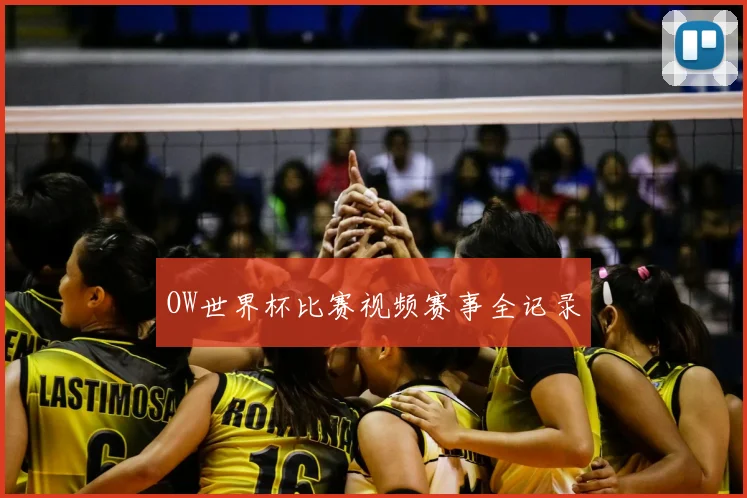 OW世界杯比赛视频赛事全记录